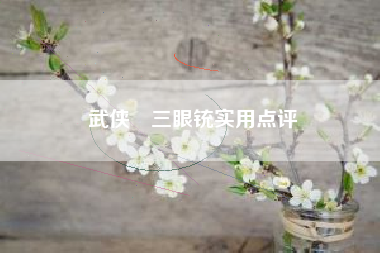 武侠乂三眼铳实用点评