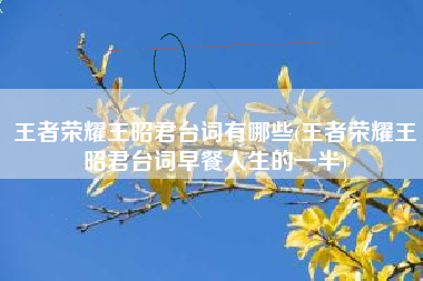 王者荣耀王昭君台词有哪些(王者荣耀王昭君台词早餐人生的一半)