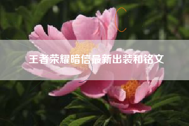 王者荣耀暗信最新出装和铭文