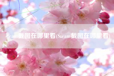 steam截图在哪里看(Steam截图在哪里看)