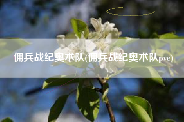 佣兵战纪奥术队(佣兵战纪奥术队pve)