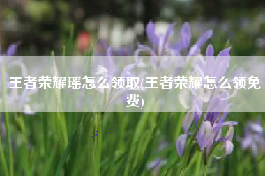 王者荣耀瑶怎么领取(王者荣耀怎么领免费)