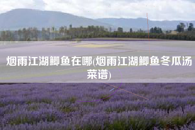 烟雨江湖鲫鱼在哪(烟雨江湖鲫鱼冬瓜汤菜谱)