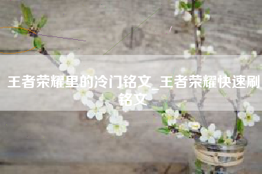 王者荣耀里的冷门铭文_王者荣耀快速刷铭文