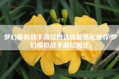梦幻模拟战手游拉姆达技能搭配推荐(梦幻模拟战手游拉姆达)