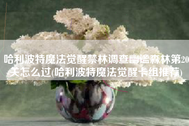 哈利波特魔法觉醒禁林调查幽谧森林第20关怎么过(哈利波特魔法觉醒卡组推荐)