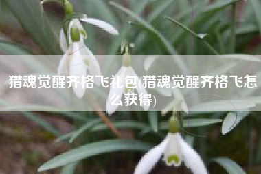 猎魂觉醒齐格飞礼包(猎魂觉醒齐格飞怎么获得)