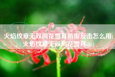 火焰纹章无双风花雪月防御反击怎么用(火焰纹章无双风花雪月dlc)