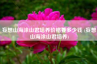 妄想山海涂山君培养价格要多少钱 (妄想山海涂山君培养)