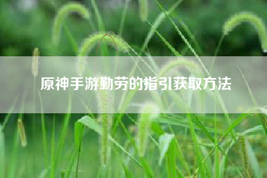 原神手游勤劳的指引获取方法