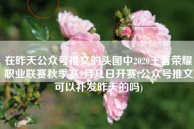 在昨天公众号推文的头图中2020王者荣耀职业联赛秋季赛9月几日开赛(公众号推文可以补发昨天的吗)