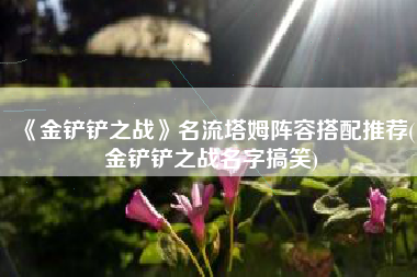 《金铲铲之战》名流塔姆阵容搭配推荐(金铲铲之战名字搞笑)