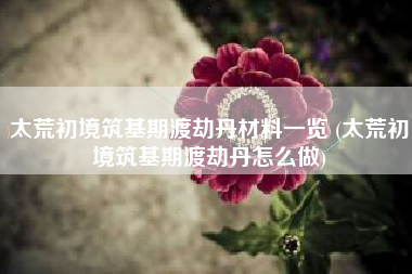 太荒初境筑基期渡劫丹材料一览 (太荒初境筑基期渡劫丹怎么做)