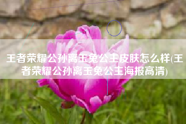 王者荣耀公孙离玉兔公主皮肤怎么样(王者荣耀公孙离玉兔公主海报高清)
