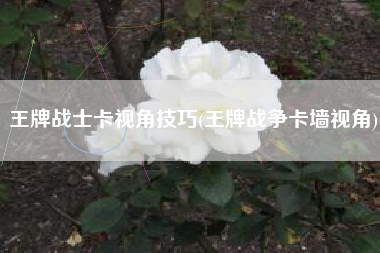 王牌战士卡视角技巧(王牌战争卡墙视角)