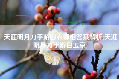 天涯明月刀手游白衣卿相答案解析(天涯明月刀手游白玉京)