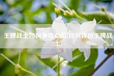 王牌战士如何争夺点位(如何评价王牌战士)