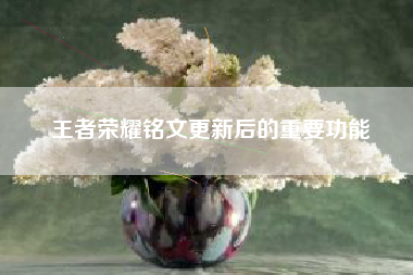 王者荣耀铭文更新后的重要功能