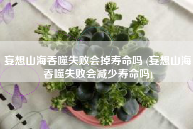 妄想山海吞噬失败会掉寿命吗 (妄想山海吞噬失败会减少寿命吗)