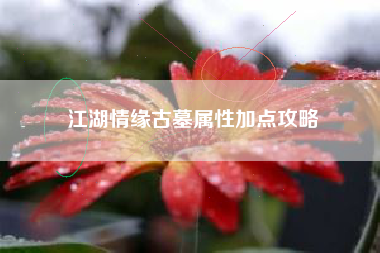 江湖情缘古墓属性加点攻略