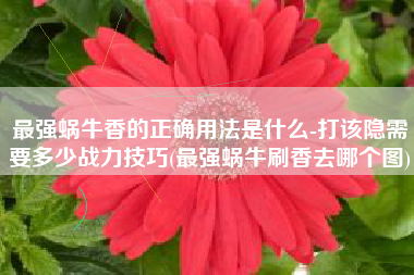 最强蜗牛香的正确用法是什么-打该隐需要多少战力技巧(最强蜗牛刷香去哪个图)