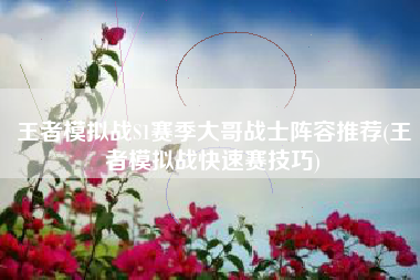 王者模拟战S1赛季大哥战士阵容推荐(王者模拟战快速赛技巧)
