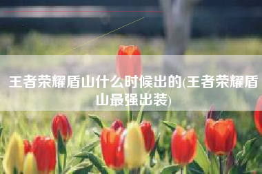 王者荣耀盾山什么时候出的(王者荣耀盾山最强出装)