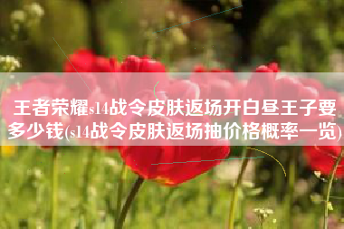 王者荣耀s14战令皮肤返场开白昼王子要多少钱(s14战令皮肤返场抽价格概率一览)