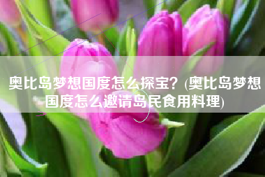 奥比岛梦想国度怎么探宝？(奥比岛梦想国度怎么邀请岛民食用料理)