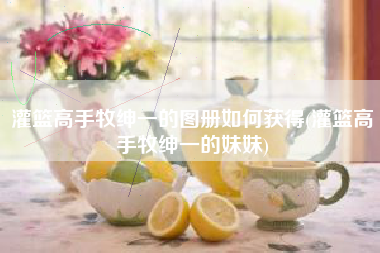 灌篮高手牧绅一的图册如何获得(灌篮高手牧绅一的妹妹)