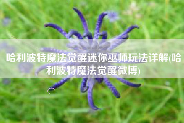哈利波特魔法觉醒迷你巫师玩法详解(哈利波特魔法觉醒微博)