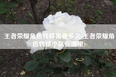 王者荣耀角色转移需要多久(王者荣耀角色转移小队在哪里)