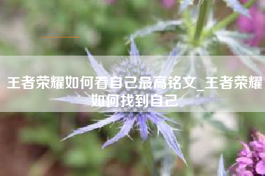 王者荣耀如何看自己最高铭文_王者荣耀如何找到自己