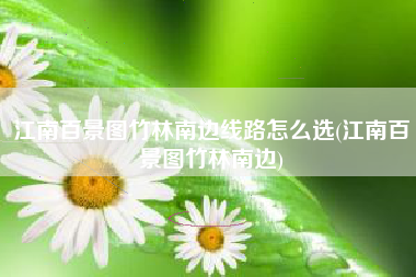 江南百景图竹林南边线路怎么选(江南百景图竹林南边)