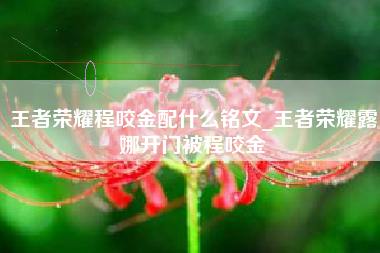 王者荣耀程咬金配什么铭文_王者荣耀露娜开门被程咬金