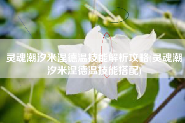灵魂潮汐米涅德温技能解析攻略(灵魂潮汐米涅德温技能搭配)