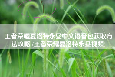 王者荣耀夏洛特永昼中文语音包获取方法攻略 (王者荣耀夏洛特永昼视频)