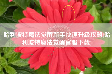 哈利波特魔法觉醒新手快速升级攻略(哈利波特魔法觉醒官服下载)