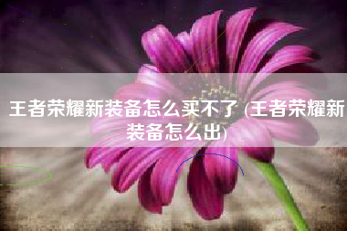 王者荣耀新装备怎么买不了 (王者荣耀新装备怎么出)