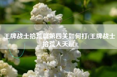 王牌战士拾荒篇第四关如何打(王牌战士拾荒人天赋)