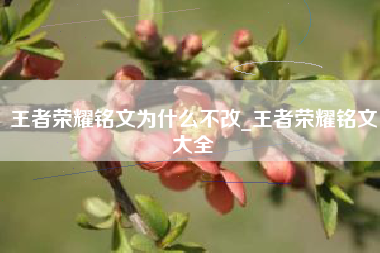 王者荣耀铭文为什么不改_王者荣耀铭文大全