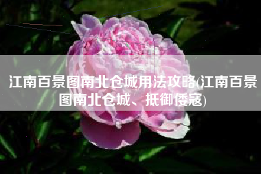 江南百景图南北仓城用法攻略(江南百景图南北仓城、抵御倭寇)