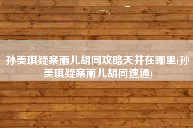 孙美琪疑案雨儿胡同攻略天井在哪里(孙美琪疑案雨儿胡同速通)