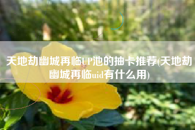 天地劫幽城再临UP池的抽卡推荐(天地劫幽城再临uid有什么用)