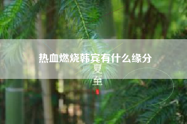 热血燃烧韩宾有什么缘分