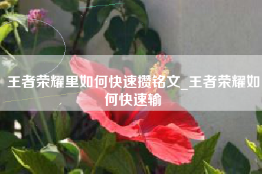 王者荣耀里如何快速攒铭文_王者荣耀如何快速输