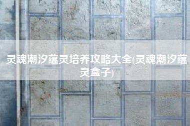 灵魂潮汐蕴灵培养攻略大全(灵魂潮汐蕴灵盒子)