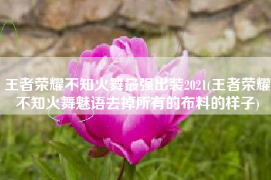 王者荣耀不知火舞最强出装2021(王者荣耀不知火舞魅语去掉所有的布料的样子)