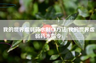 我的世界虚弱药水制作方法(我的世界虚弱药水指令)
