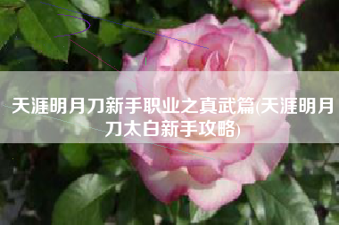 天涯明月刀新手职业之真武篇(天涯明月刀太白新手攻略)